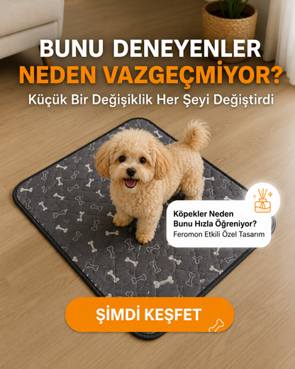 Türkiye'de İlk Feromon Kokulu Yıkanabilir Tuvalet Pedi