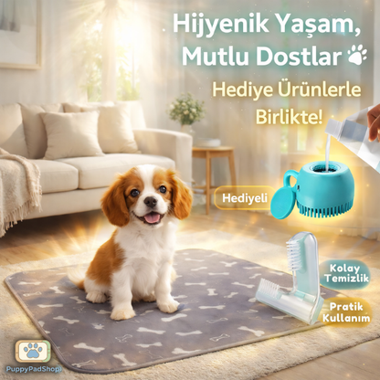 Türkiye’de İlk Feromon Kokulu Yıkanabilir Tuvalet Pedi